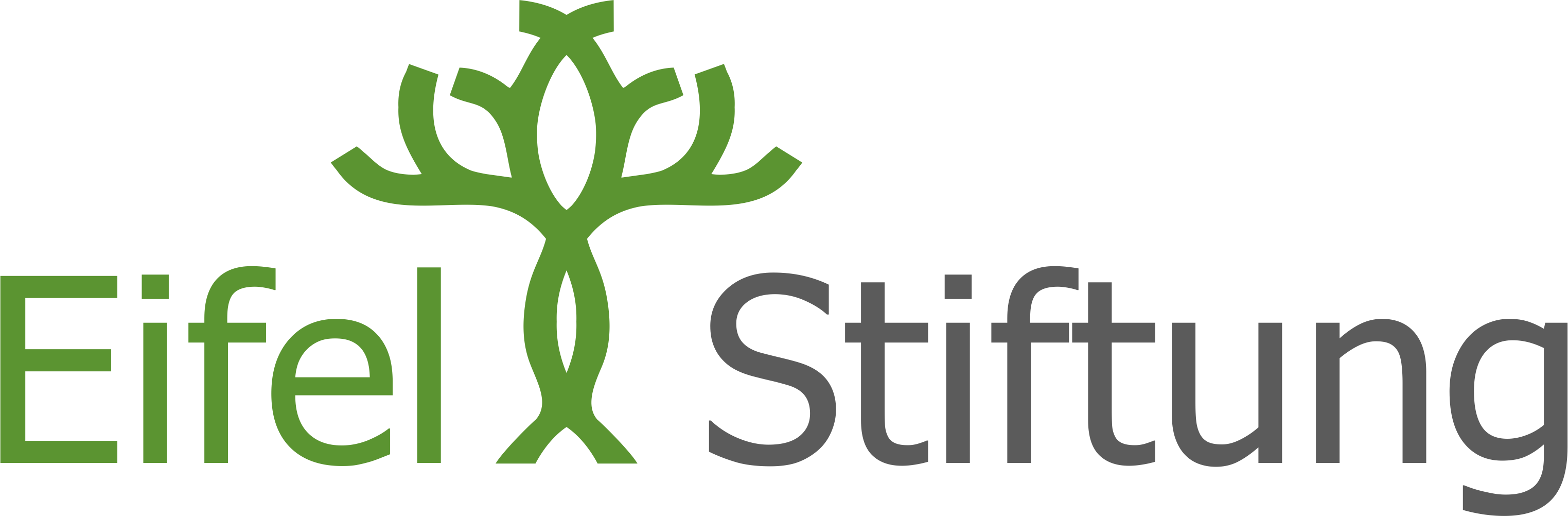 Logo der Eifelstiftung